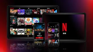 netflix account - Image 4