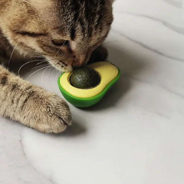 لعبة الافوكادو 🥑 - Image 5