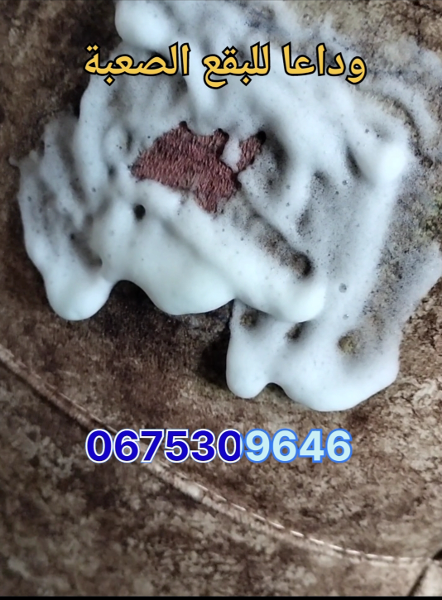 المنظف الفعال للأريكة و الأفرشة - Image 4