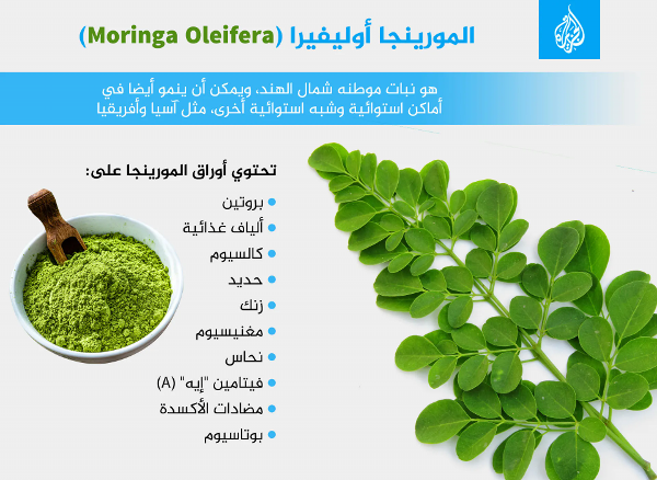 مشروب المورينجا  - Image 1