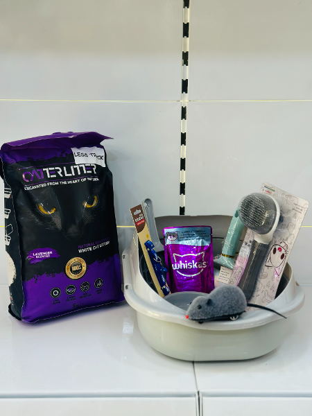 pack promotion pour chat - Image 1