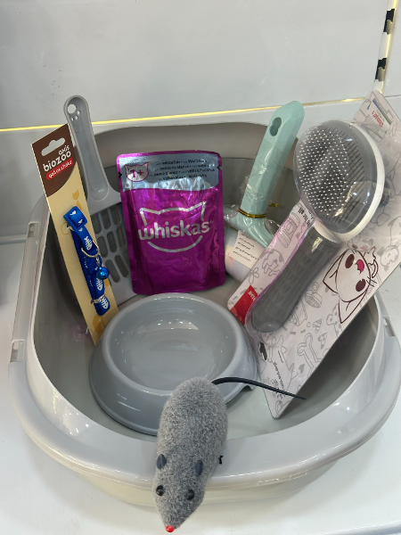 pack promotion pour chat - Image 3