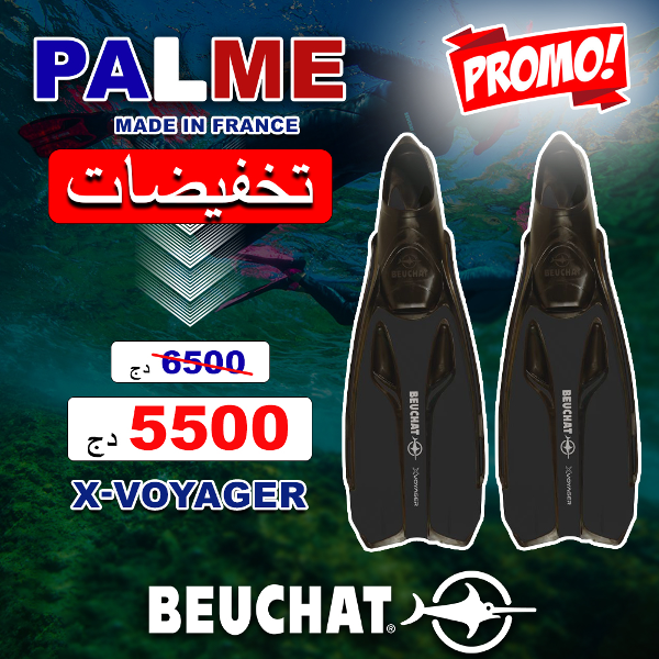 Palme x-voyager Beuchat - Image 1