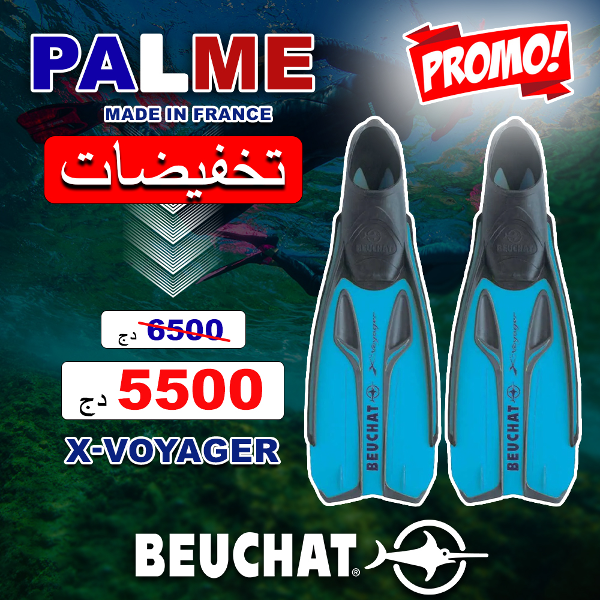 Palme x-voyager Beuchat - Image 2