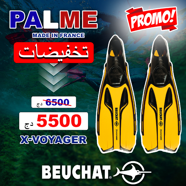 Palme x-voyager Beuchat - Image 3