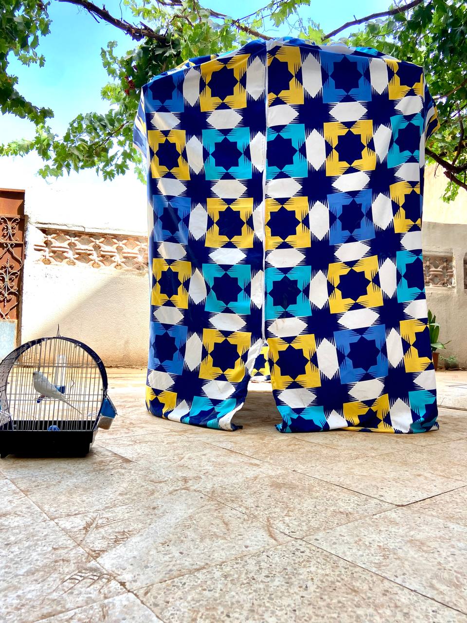 غطاء براصول - Image 2