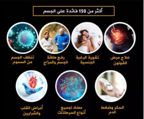 الشيلاجيت - Image 1