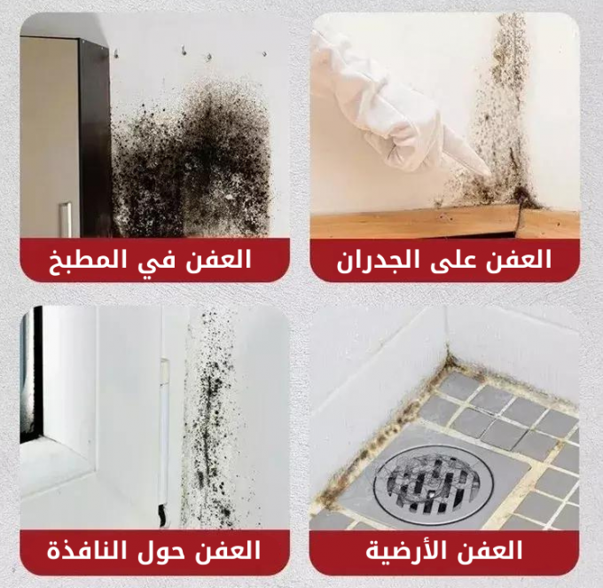 بخاخ إزالة العفن و الفطريات - Image 1