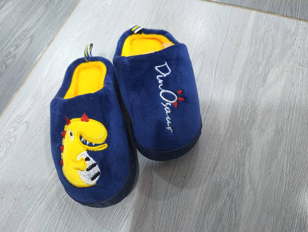 Chaussons Dino - Image 7