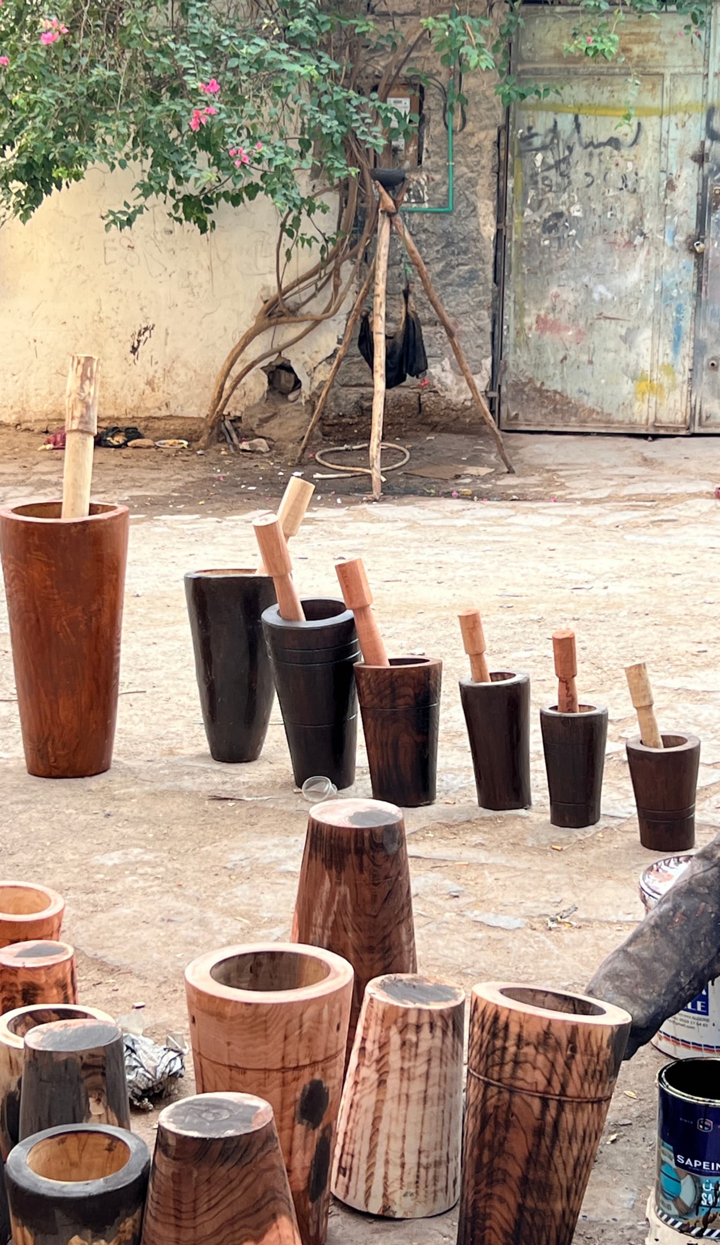 مهراز زفيطي  - Image 7