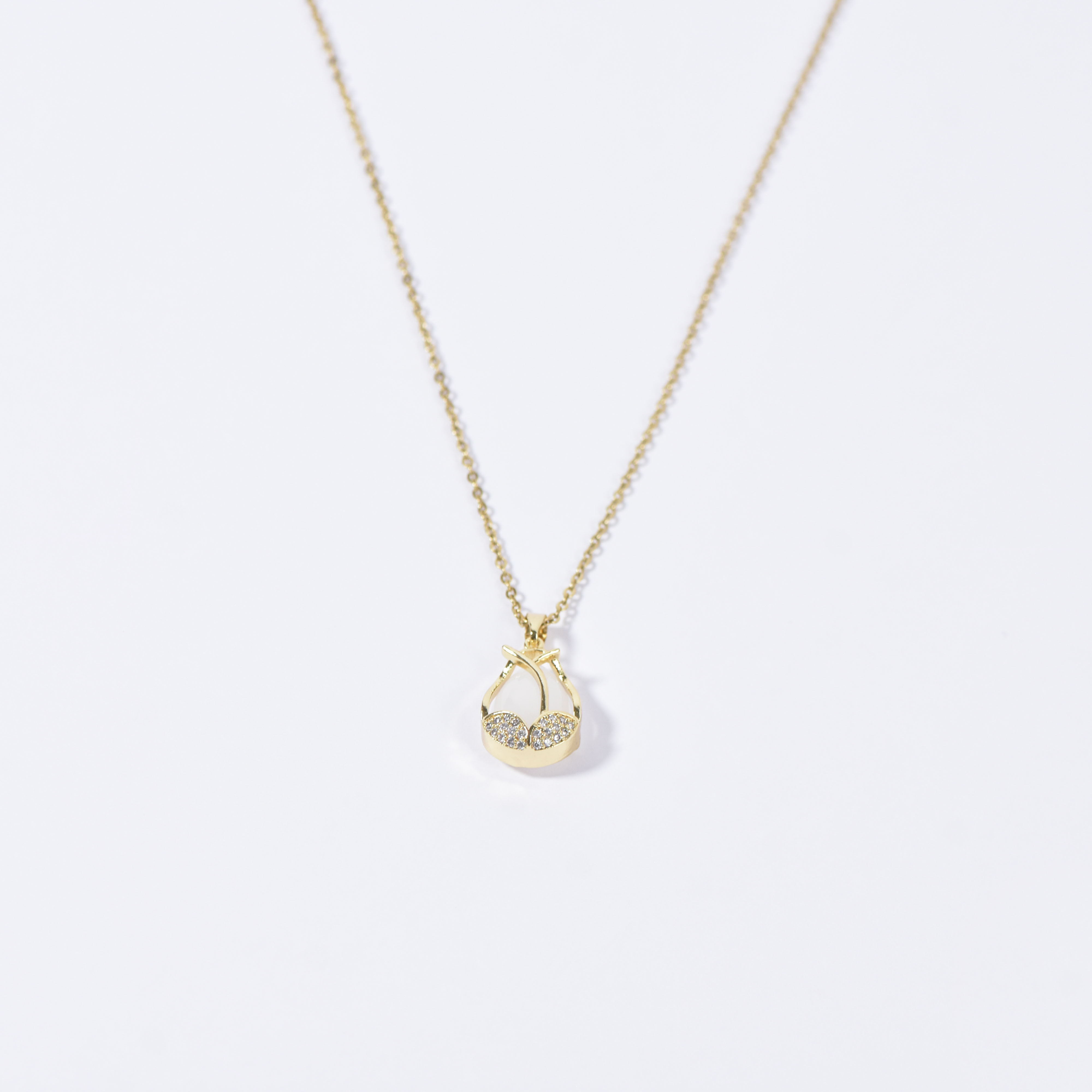 Chaîne n 201 - Image 3