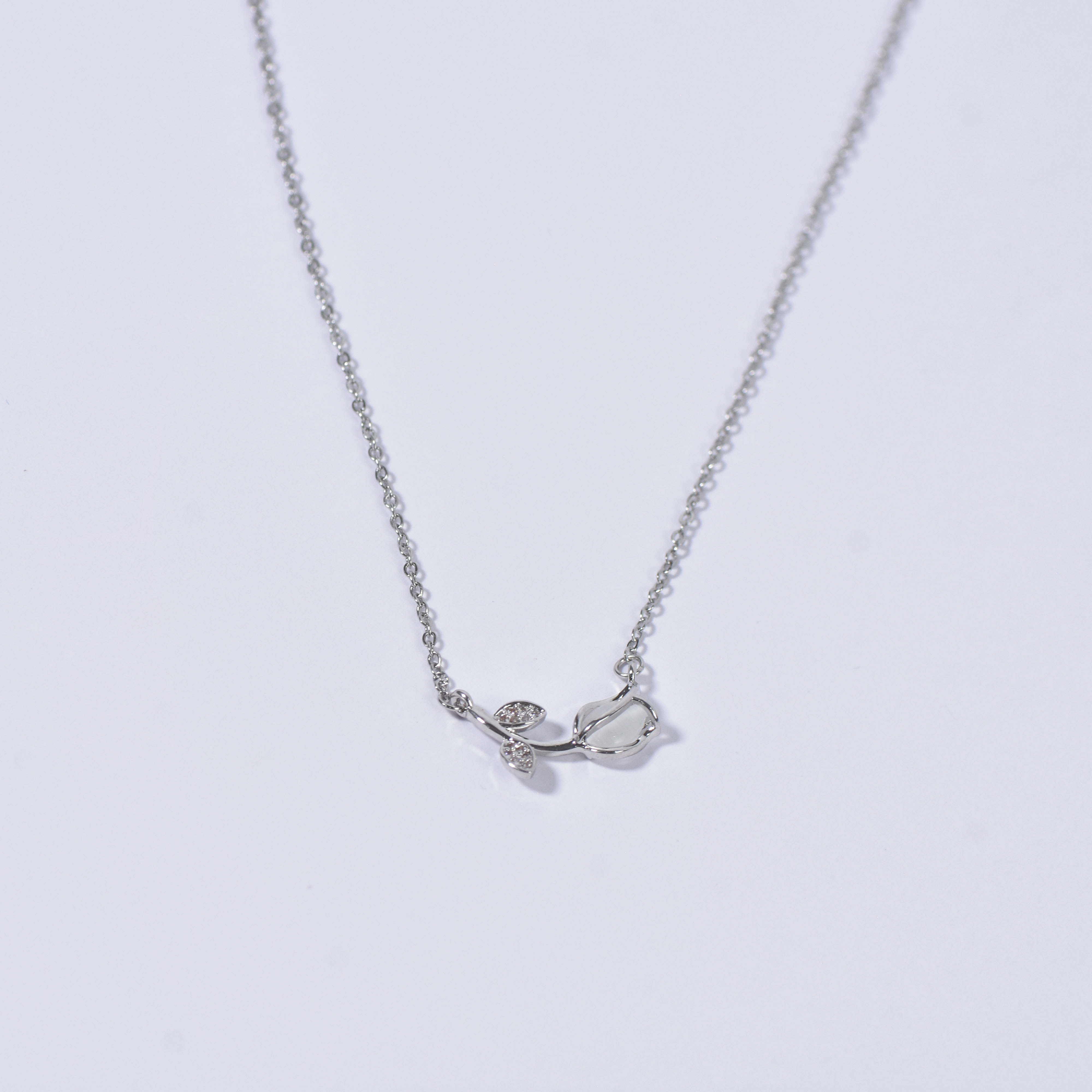 Chaîne n 217 - Image 4