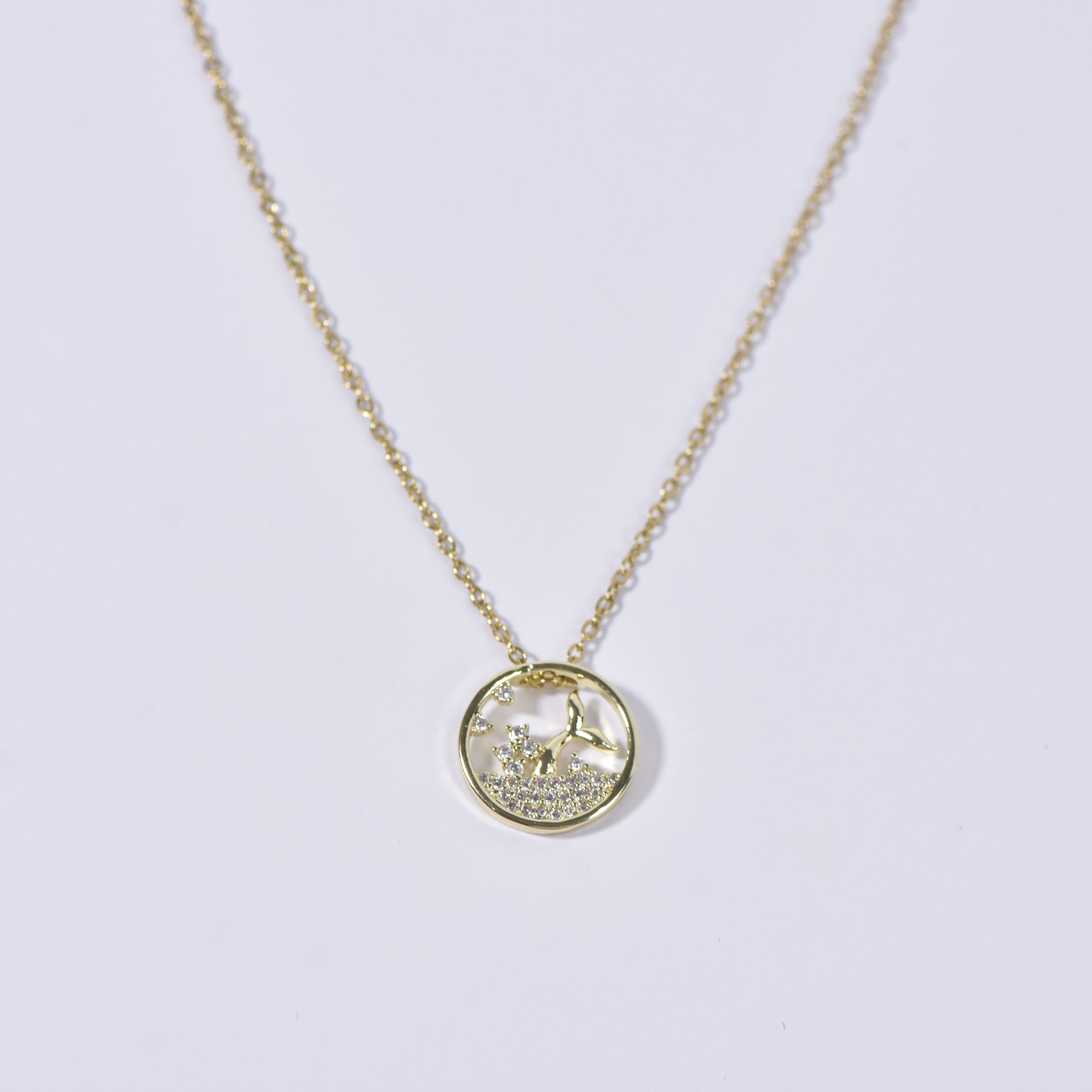 Chaîne n 218 - Image 4
