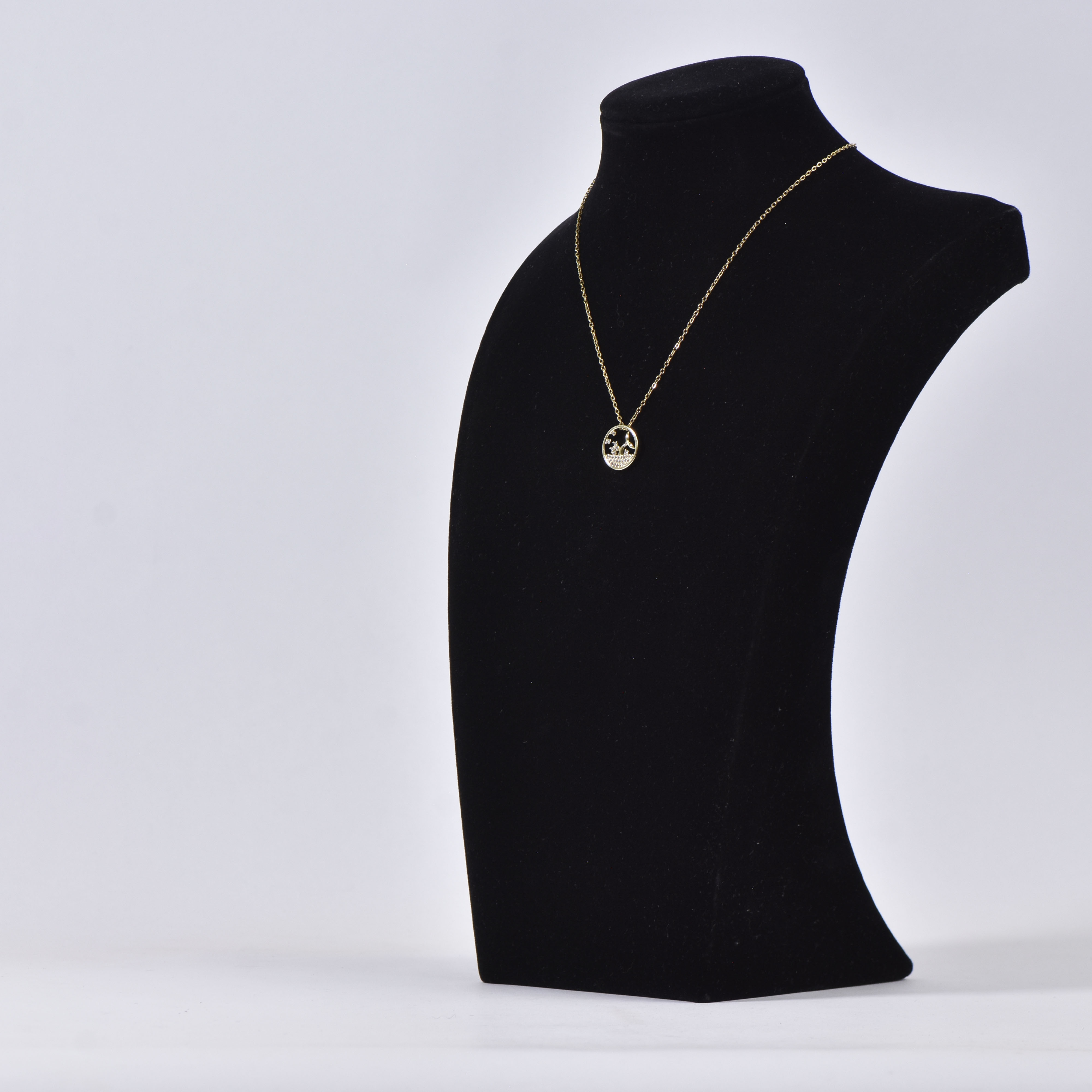 Chaîne n 218 - Image 5