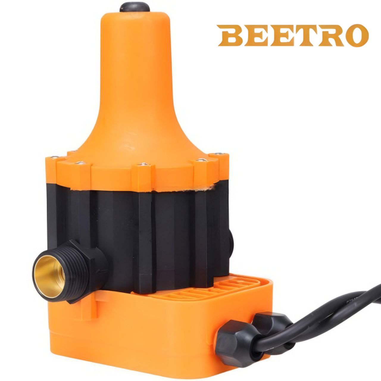 Cerveau Beetro - Image 1