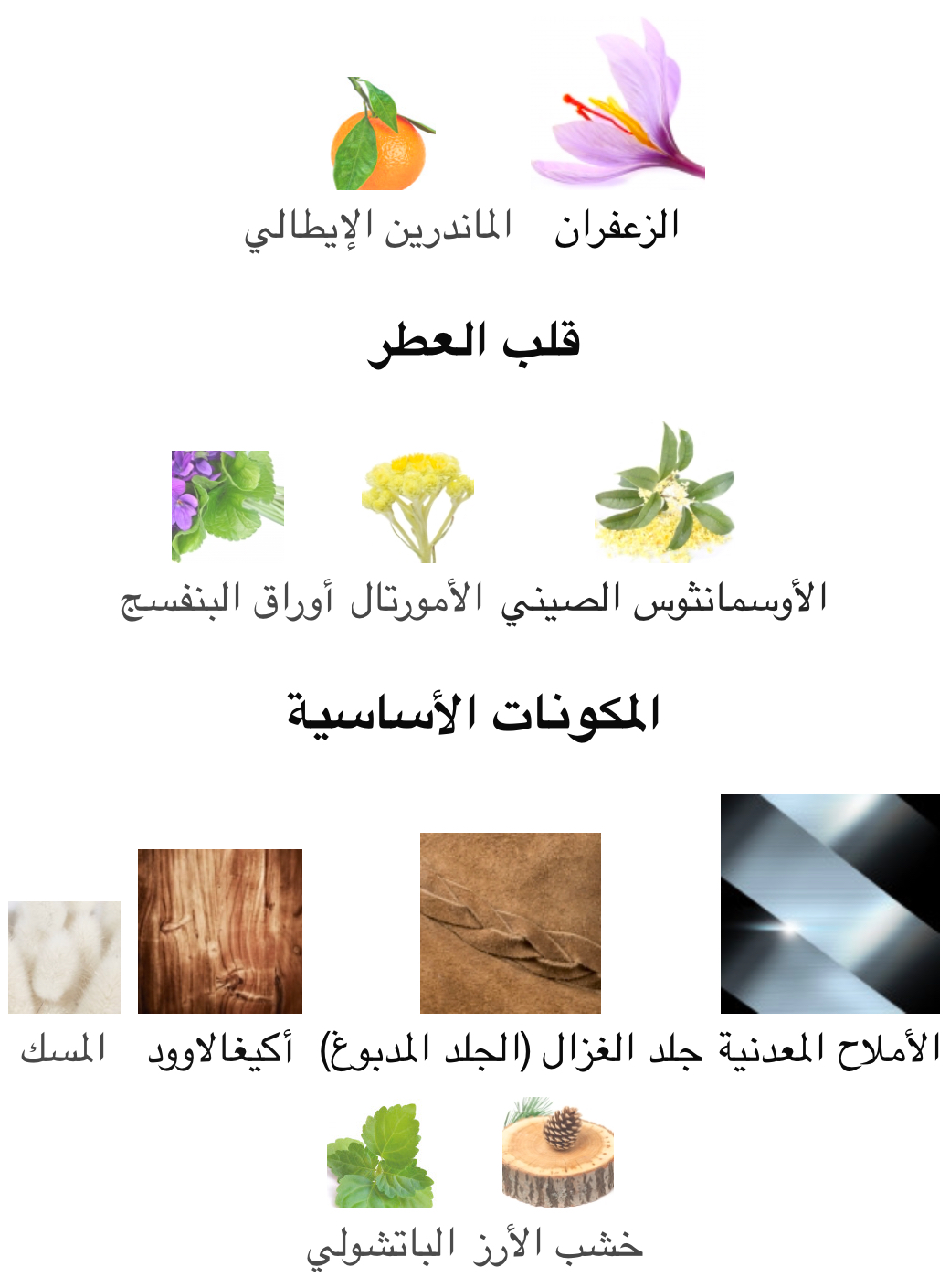 GANYMED - Image 2