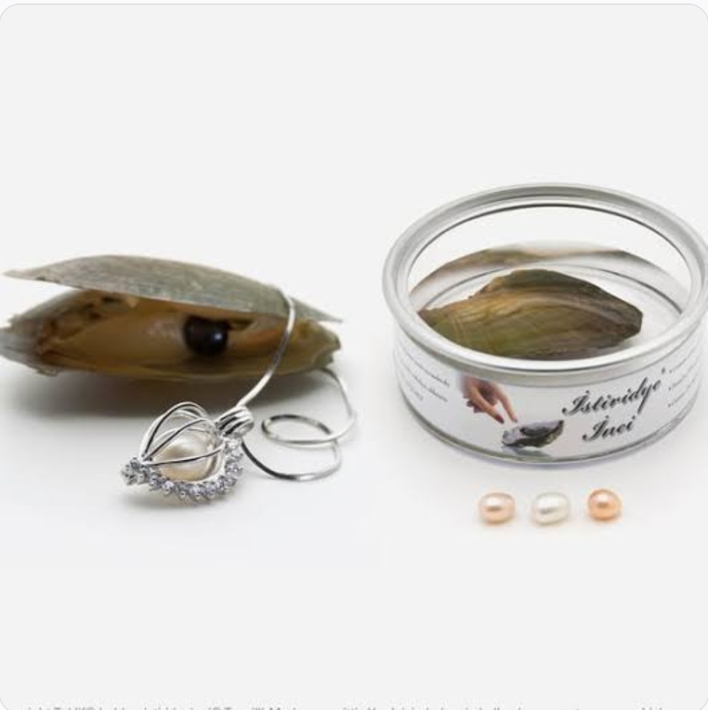 قلادة اللؤلؤة - Love Pearl - Image 11