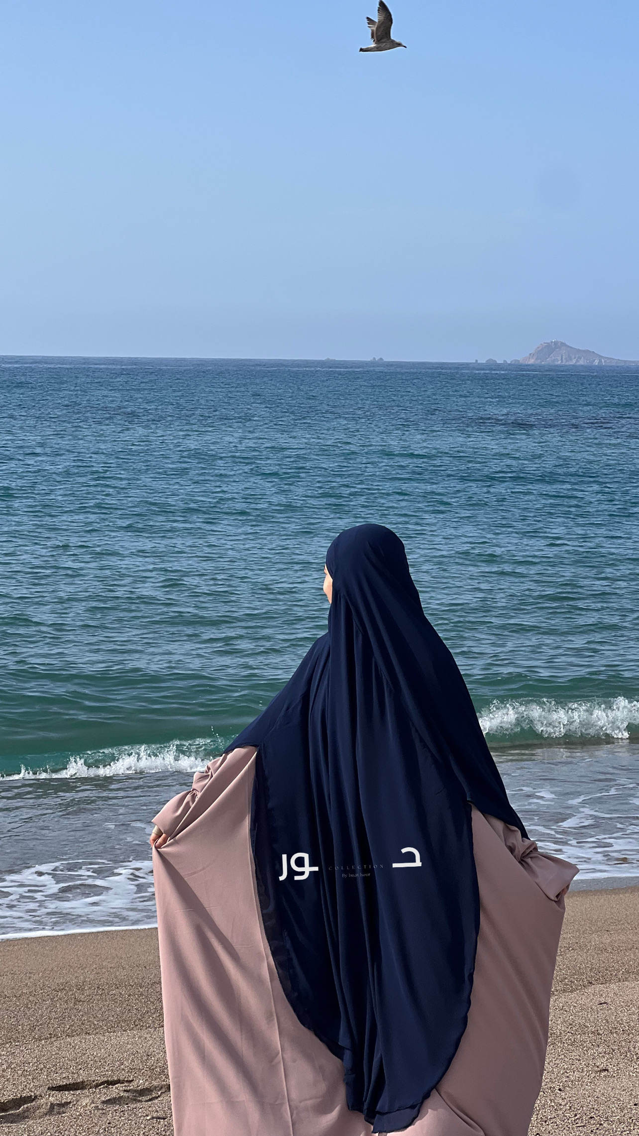 الاسدال العملاق - Image 3