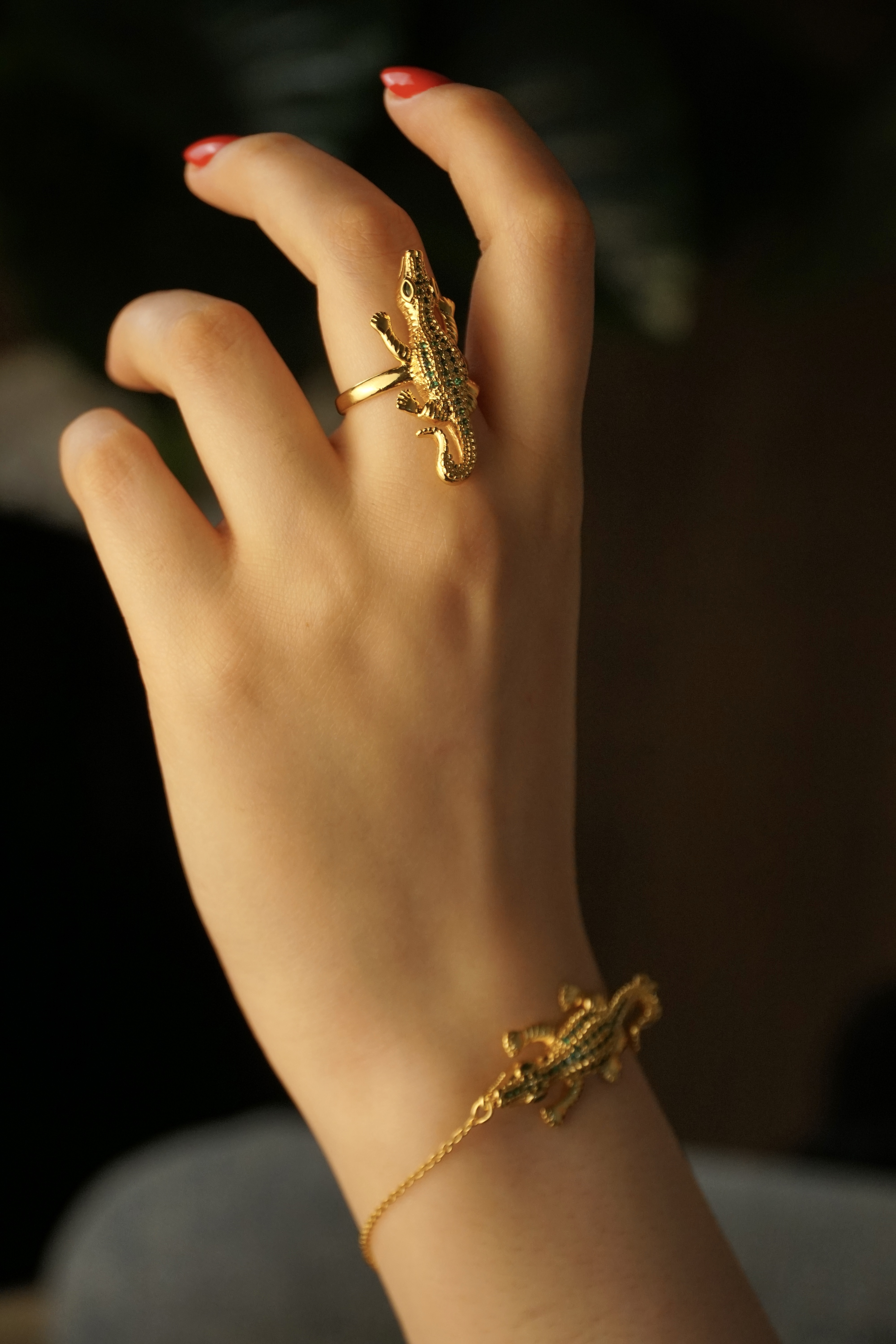 Parure timsah  - Image 4