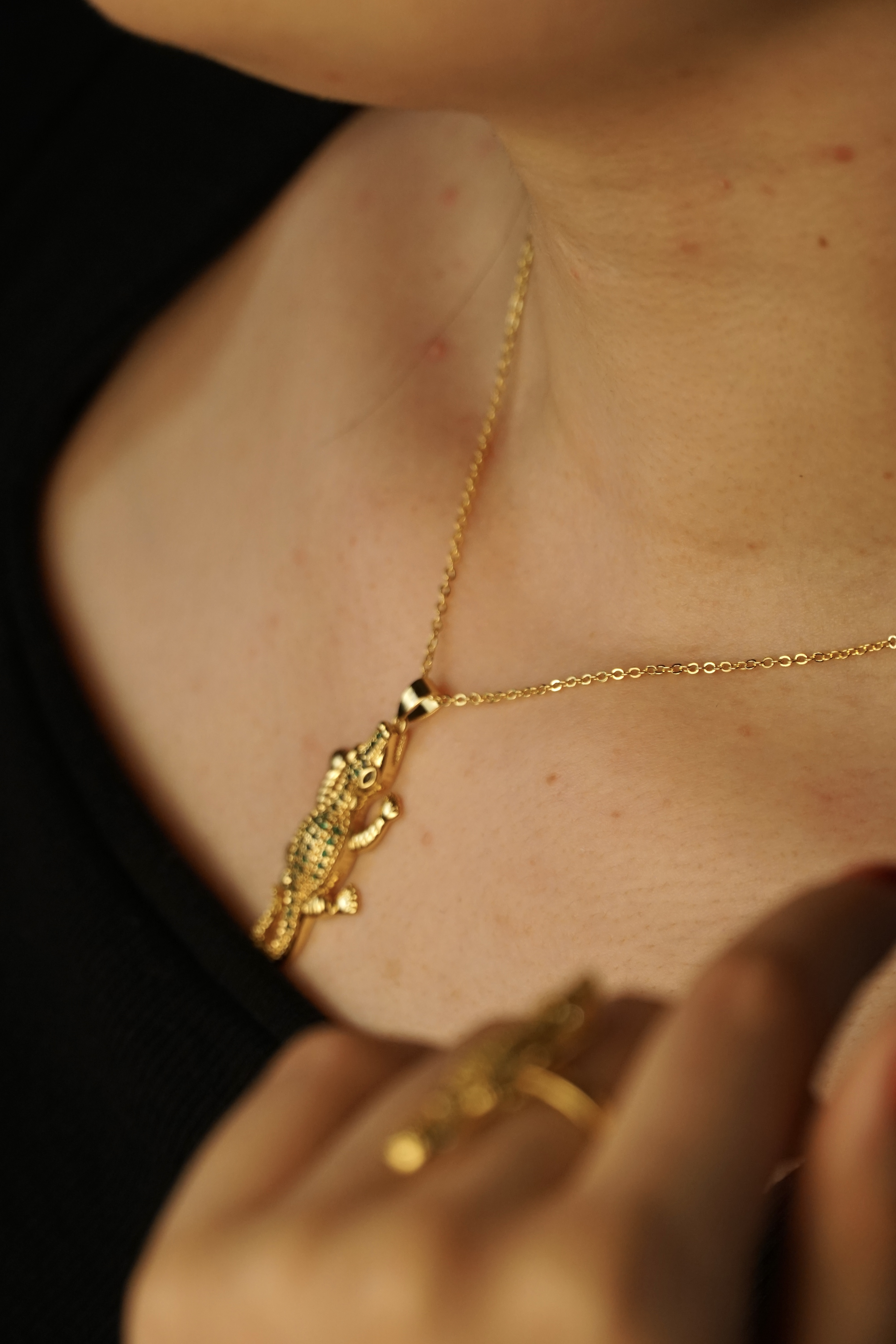 Parure timsah  - Image 5