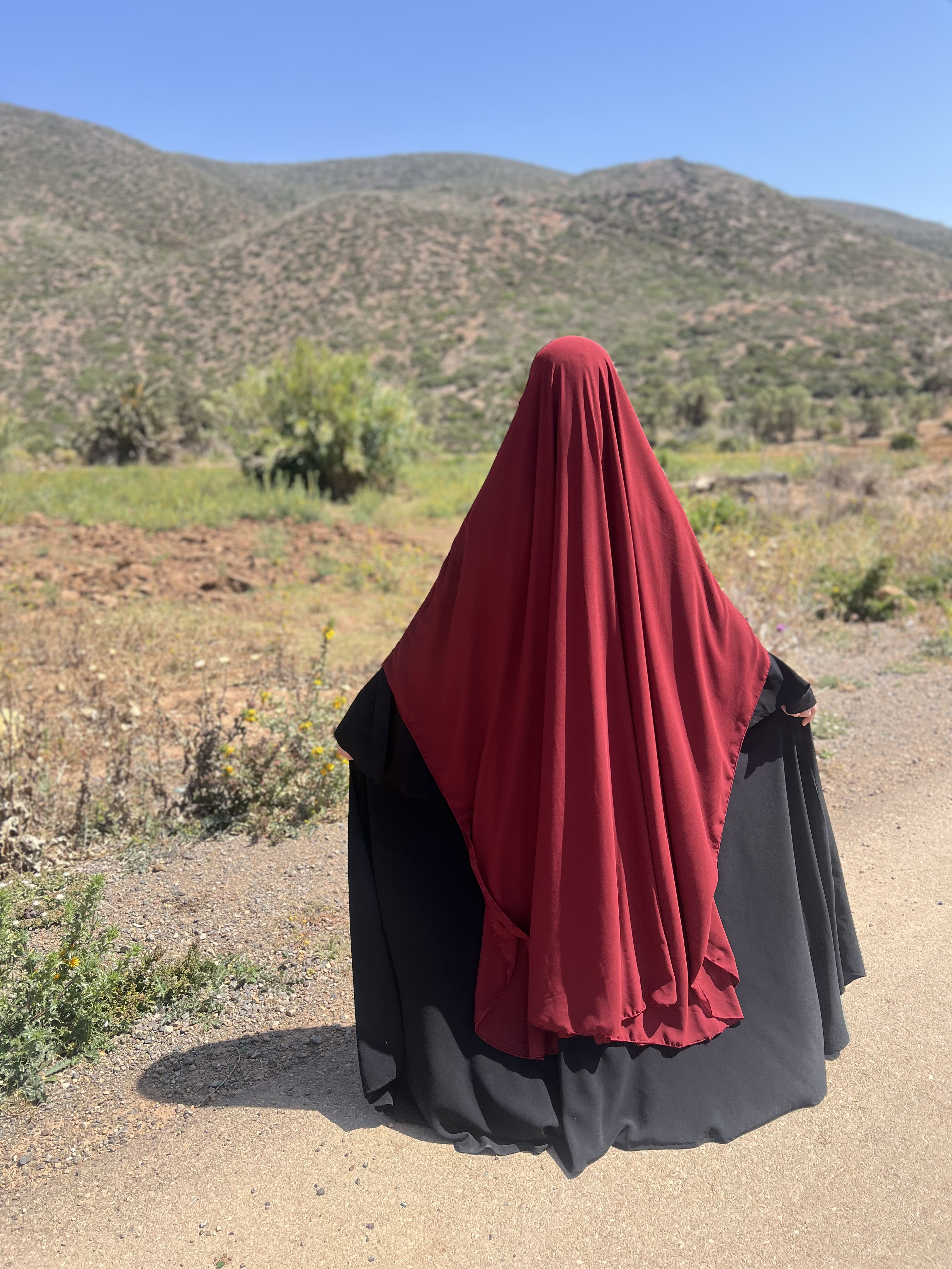 الاسدال العملاق - Image 11