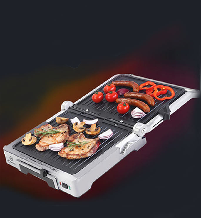 PANINEUSE ROBUSTE GV2000 - Image 2