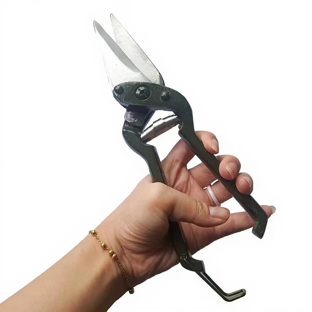 مقص حوافر الماشية